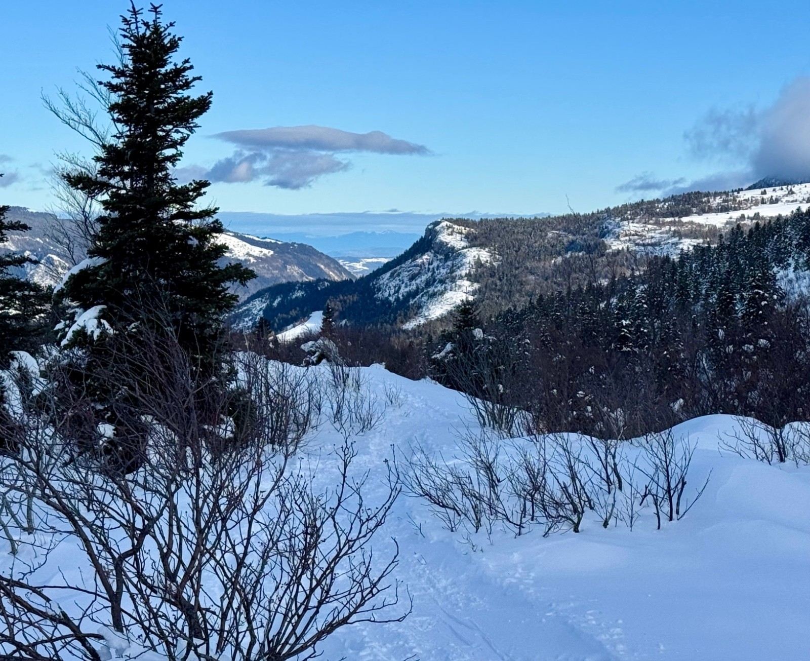 #1 Le Vercors bien enneigé. Le Vercors bien enneigé.