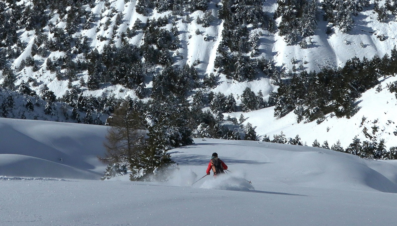 Versant NW des Tomples&nbsp;&nbsp;