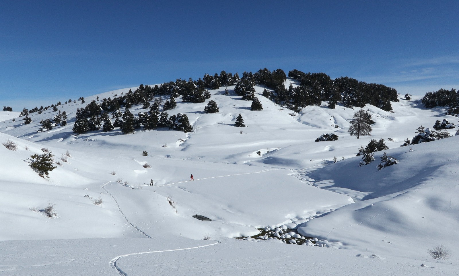 Repeautage au ruisseau de Passavoux&nbsp;