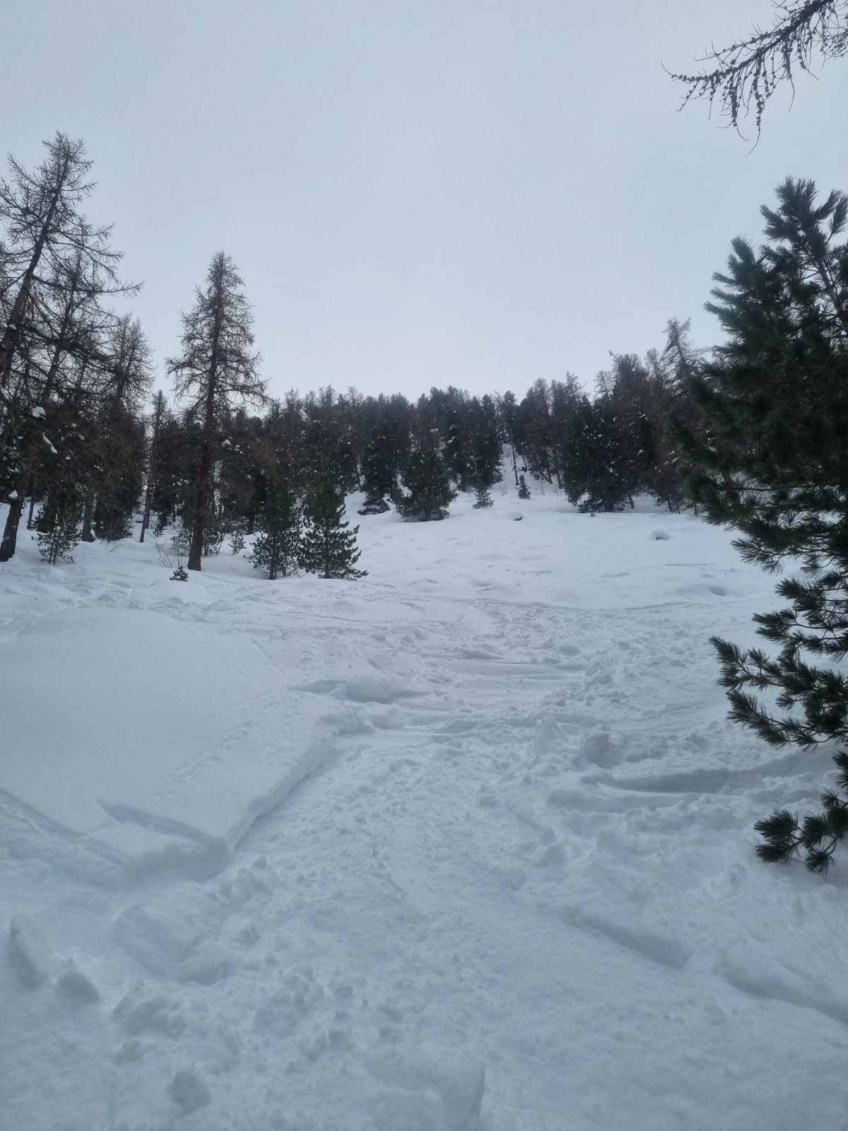 #5 Descente Descente