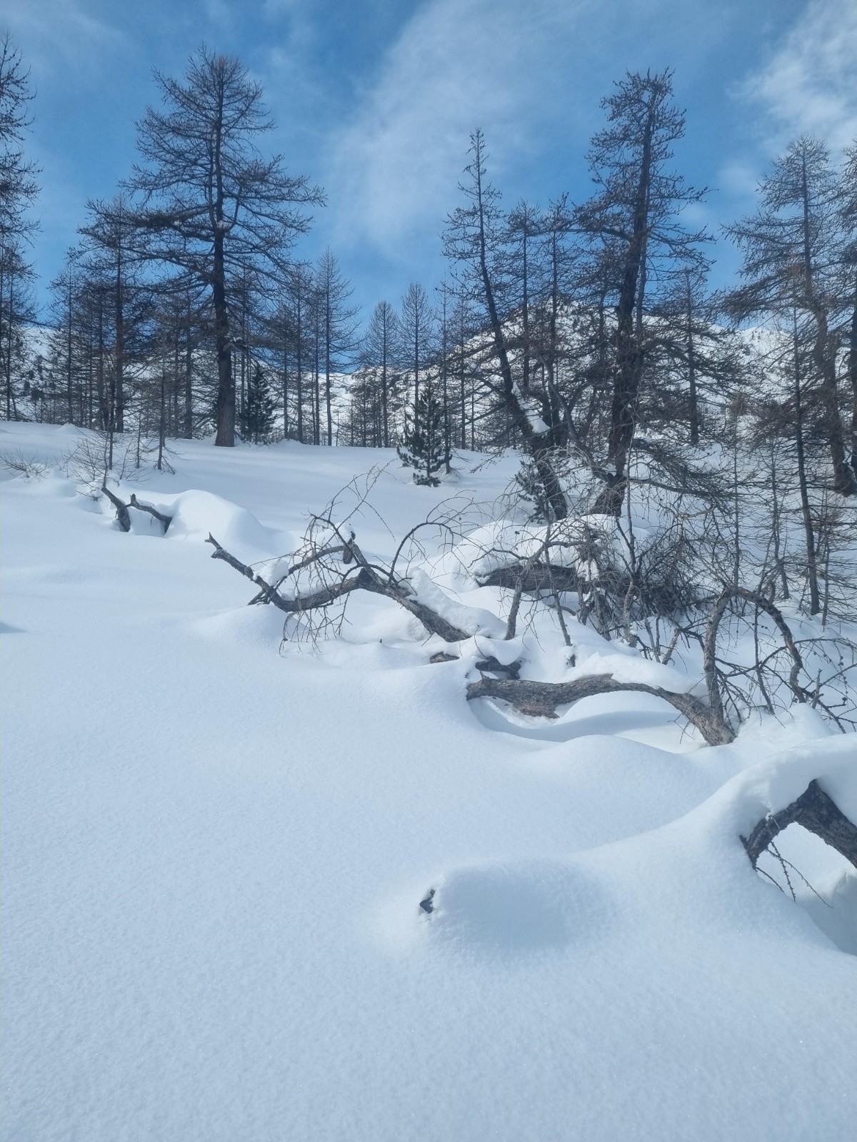 #2 Arrivée dans le vallon Arrivée dans le vallon