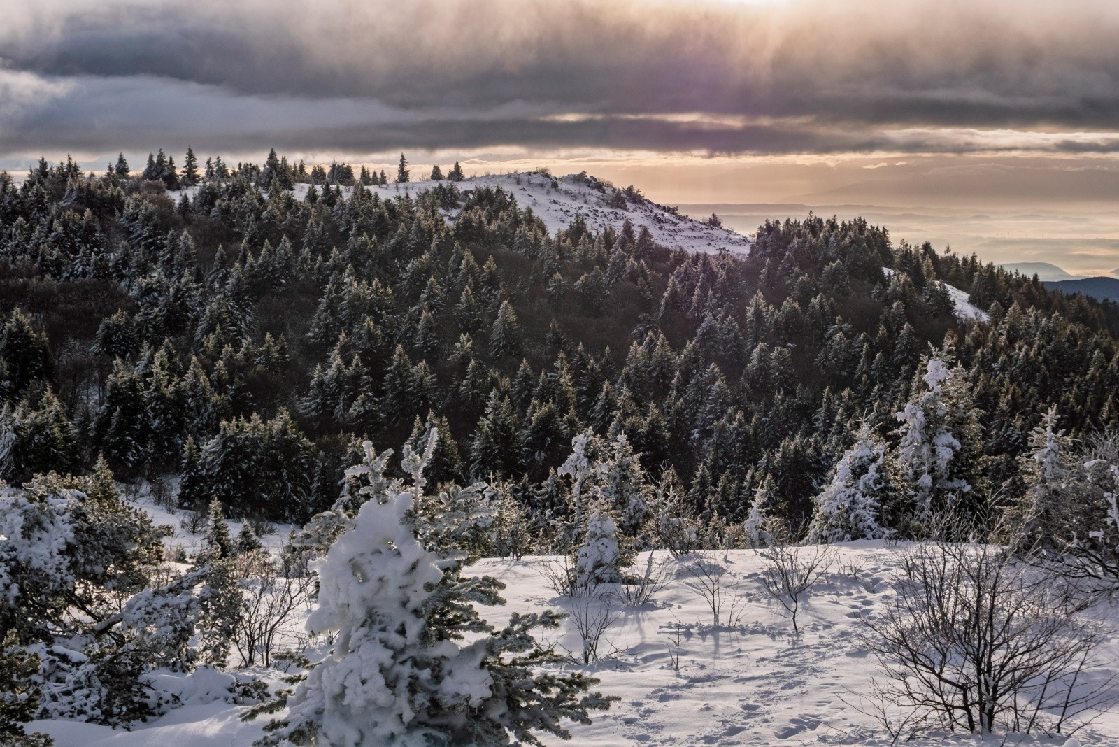 Crêt de la Chèvre depuis la Perdrix