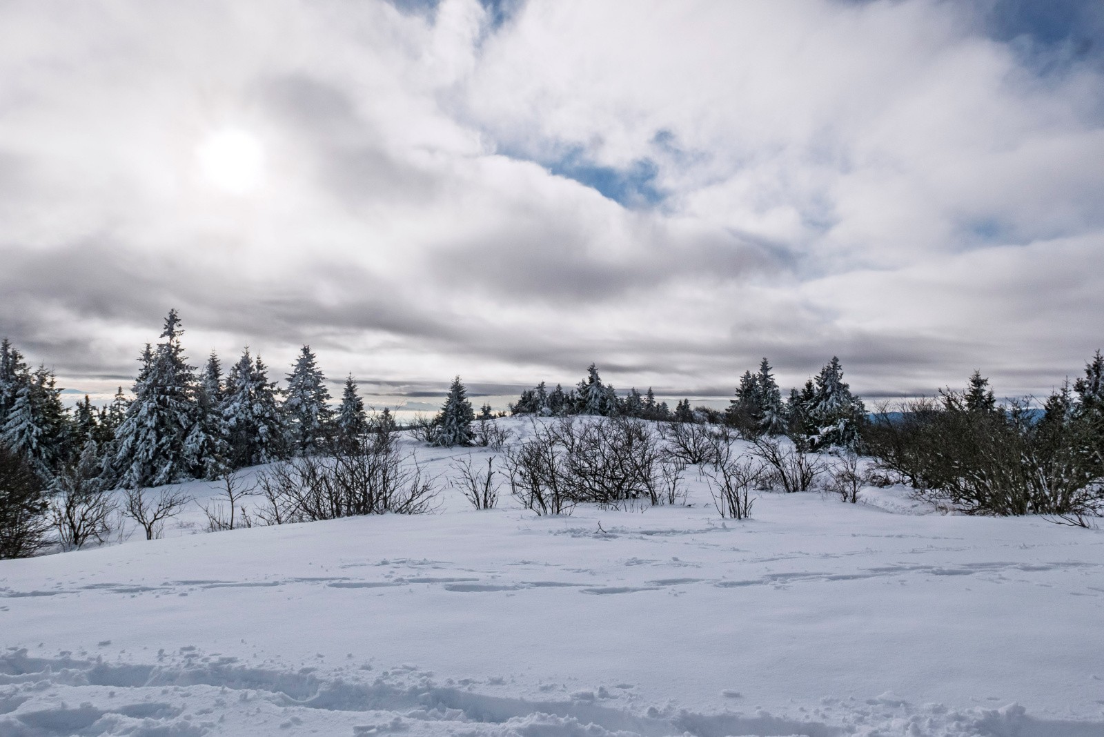 Double sommet peu marqué de l'Arnica resté hivernal