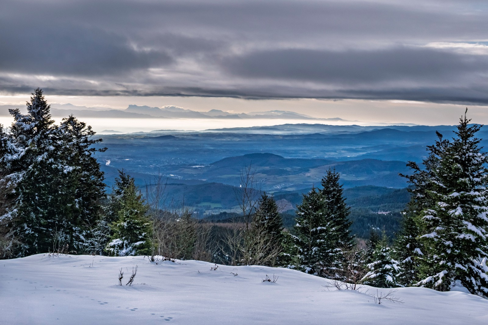 Au point 1405, au fond à gauche les 3 Becs et au centre le Ventoux