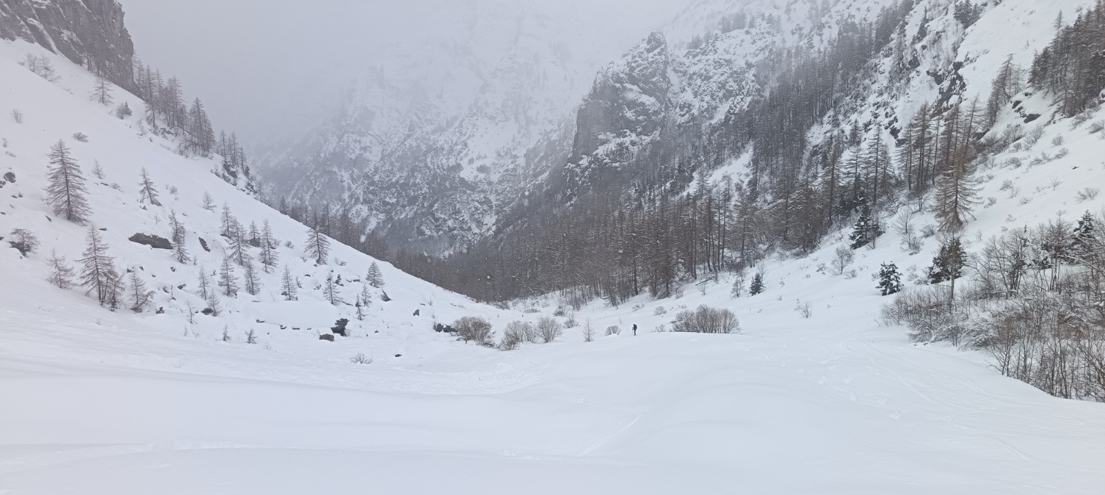 #3 Vallon à la descente Vallon à la descente