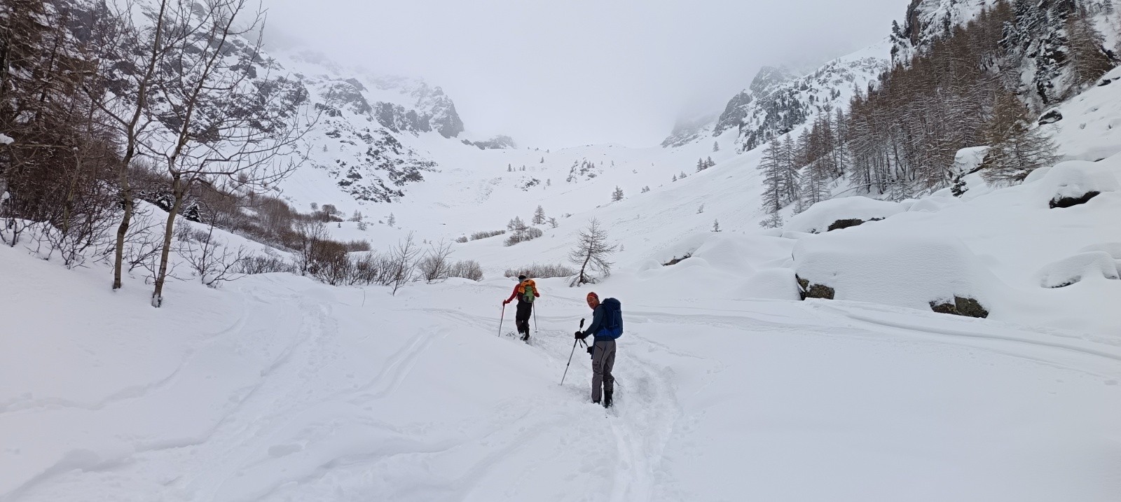 #1 Sortie de la forêt Sortie de la forêt