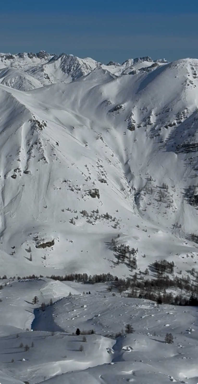 #5 Screenshot Screenshot