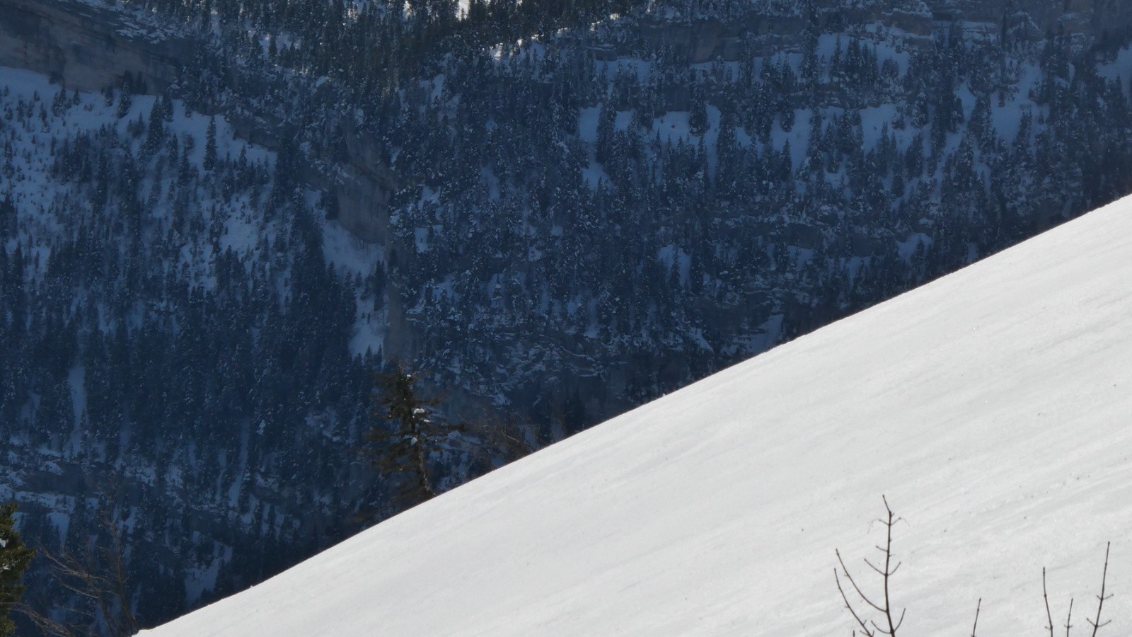 juste une ligne et un contraste&nbsp;