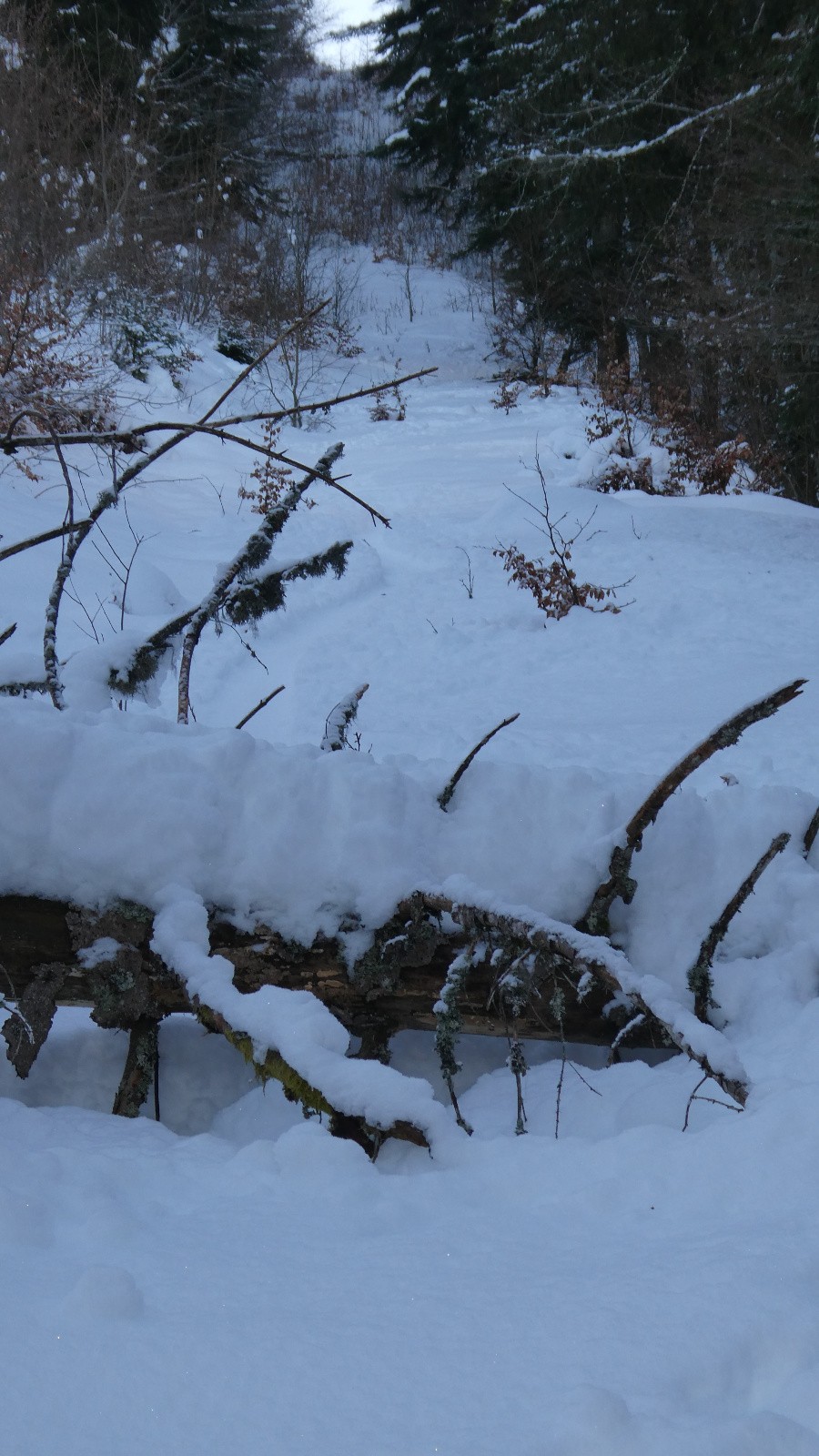 Un chemin plein d'embûches&nbsp;