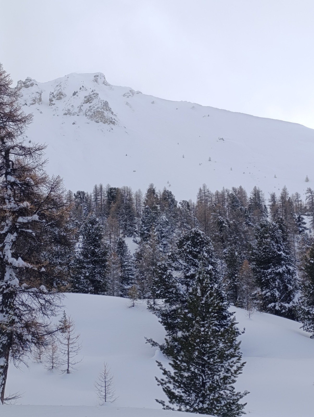 Face NE l'Arpelin&nbsp;