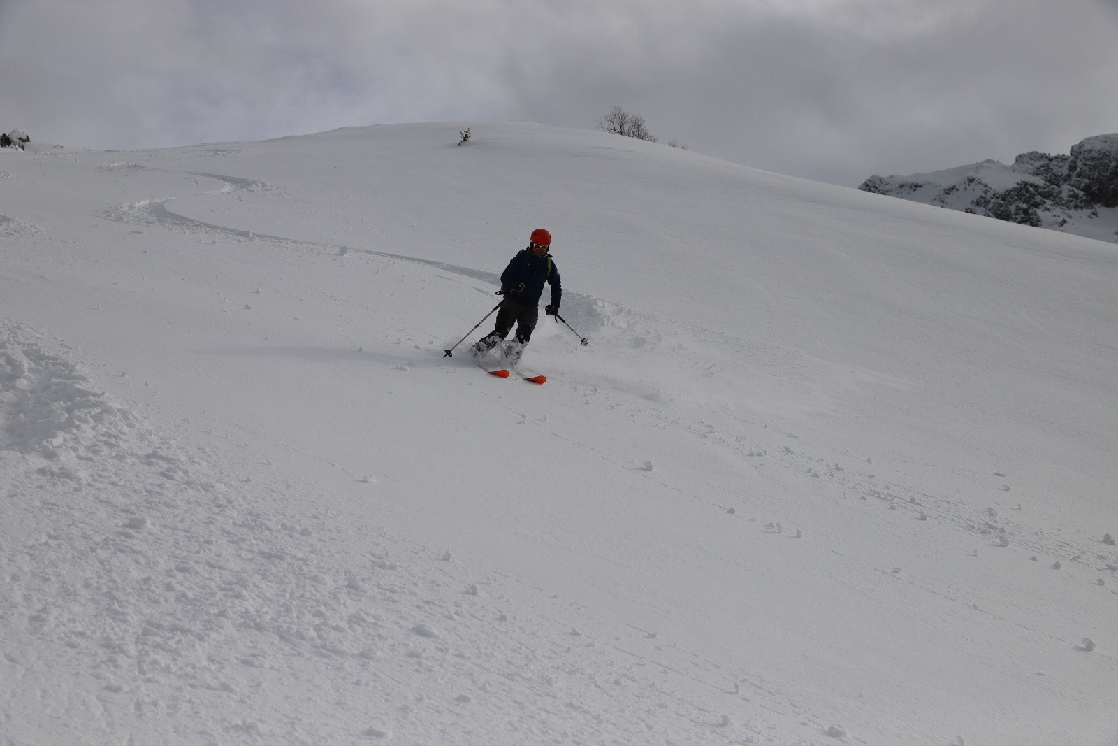 #16 Toujours bueno Toujours bueno