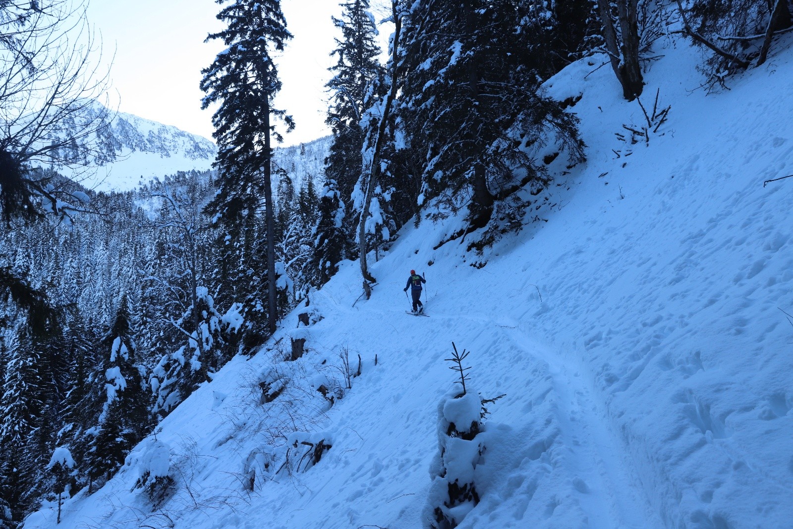 #1 Dans la montée en forêt, c Dans la montée en forêt, c'est bien raide!