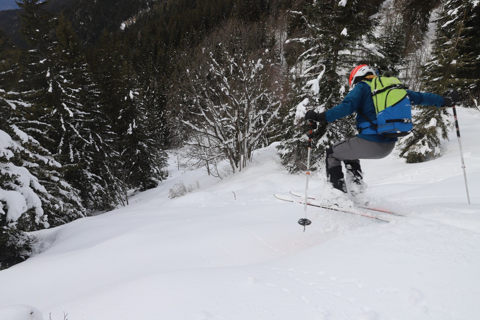 #19 Arrivée à la forêt... Arrivée à la forêt...