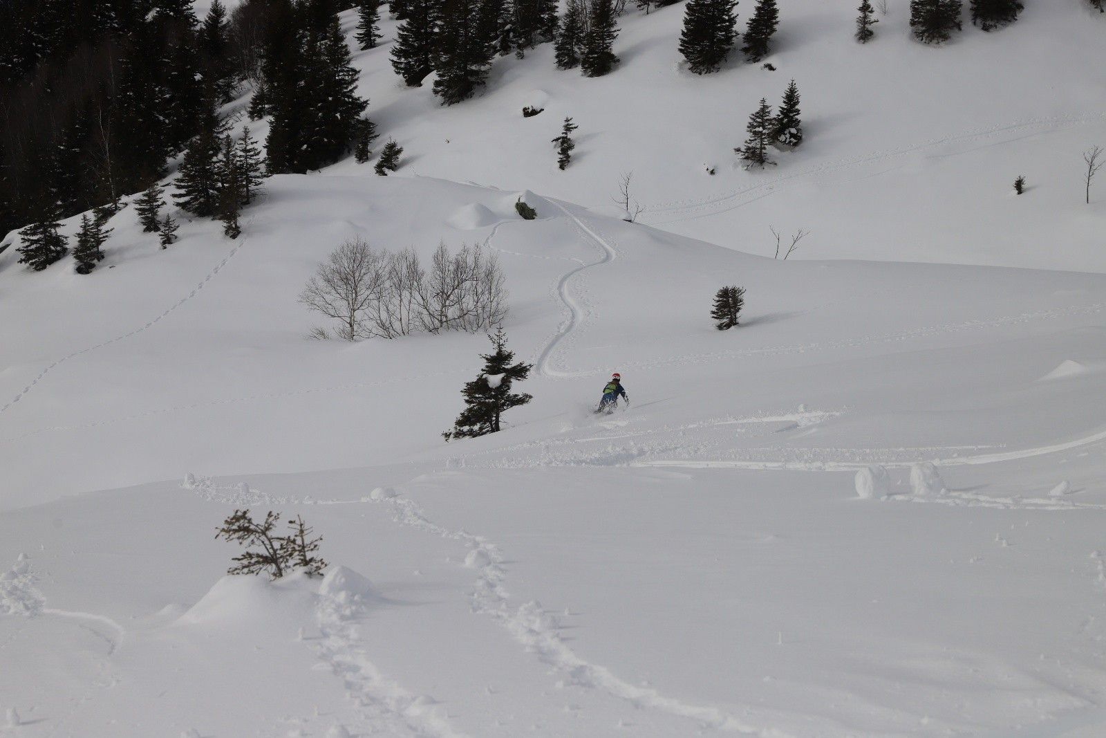 #17 Encore bon Encore bon