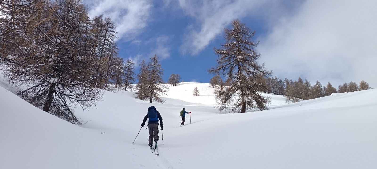 &nbsp;Sortie de la forêt&nbsp;