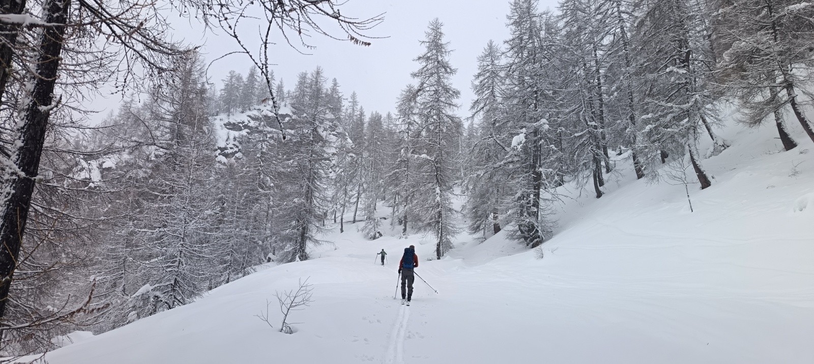 &nbsp;En montant en forêt&nbsp;