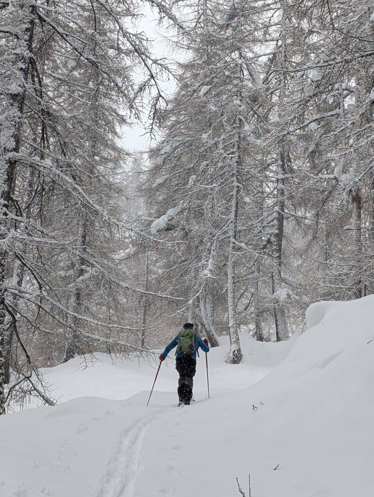 &nbsp;Rapidement de la neige fraîche&nbsp;