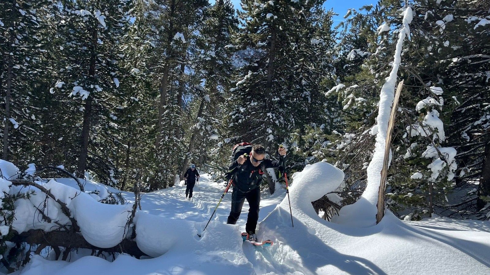 &nbsp;Saut d’obstacle&nbsp;