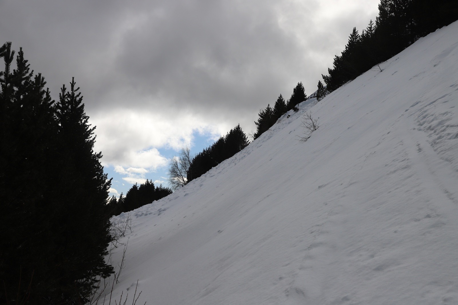&nbsp;L'avalanche tombée dans la nuit de jeudi à vendredi...