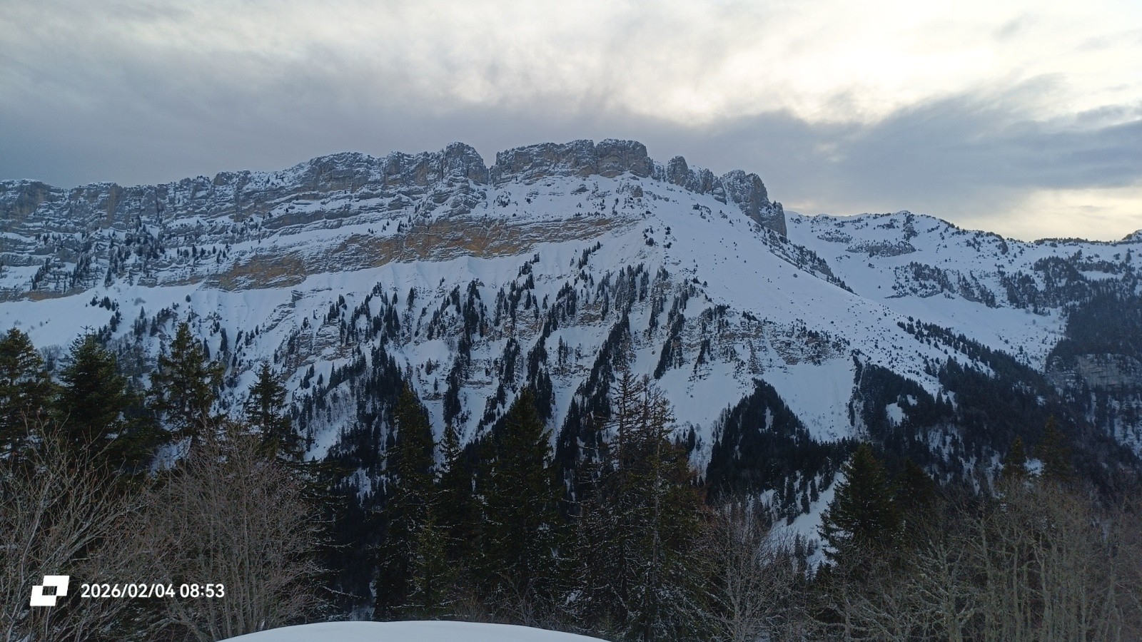 Les Lances, majestueuses 