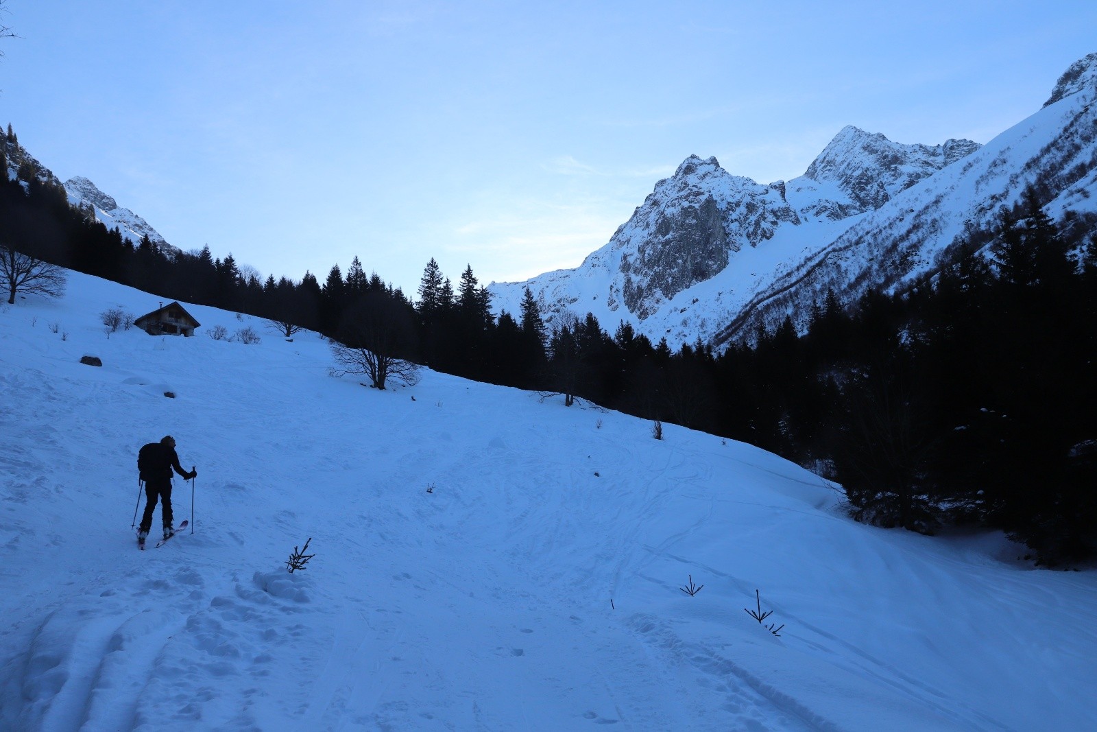 Dans le pré du Premier Chalet de la Combe Madame