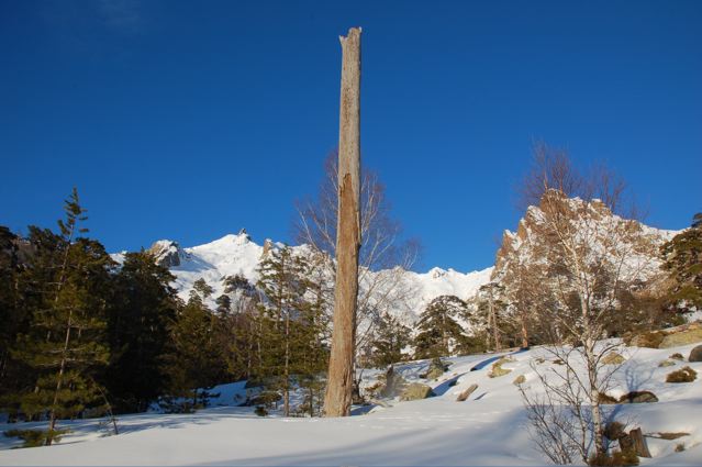 contemplation : J'aime bien.