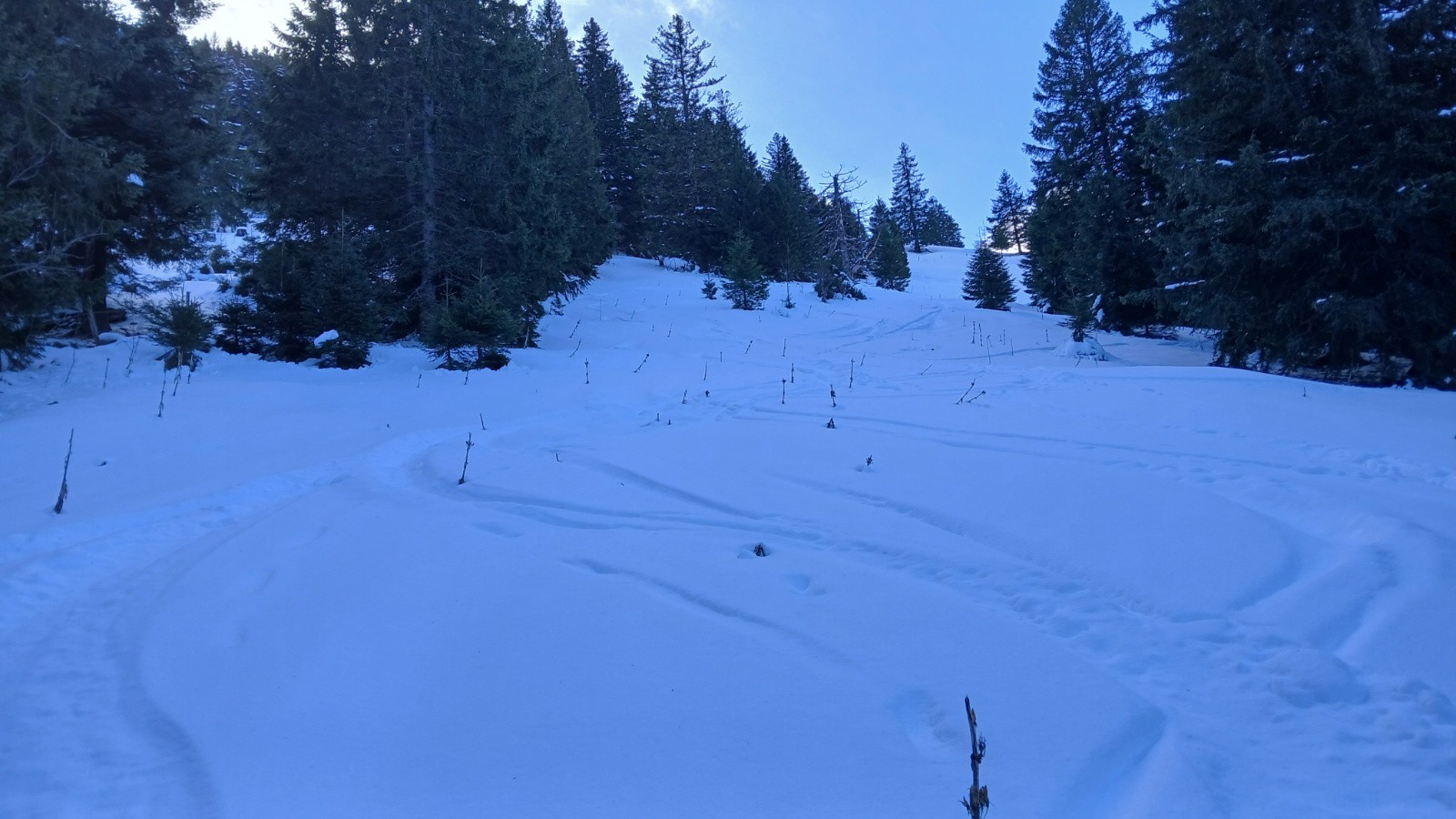 Fini de faire les sangliers!