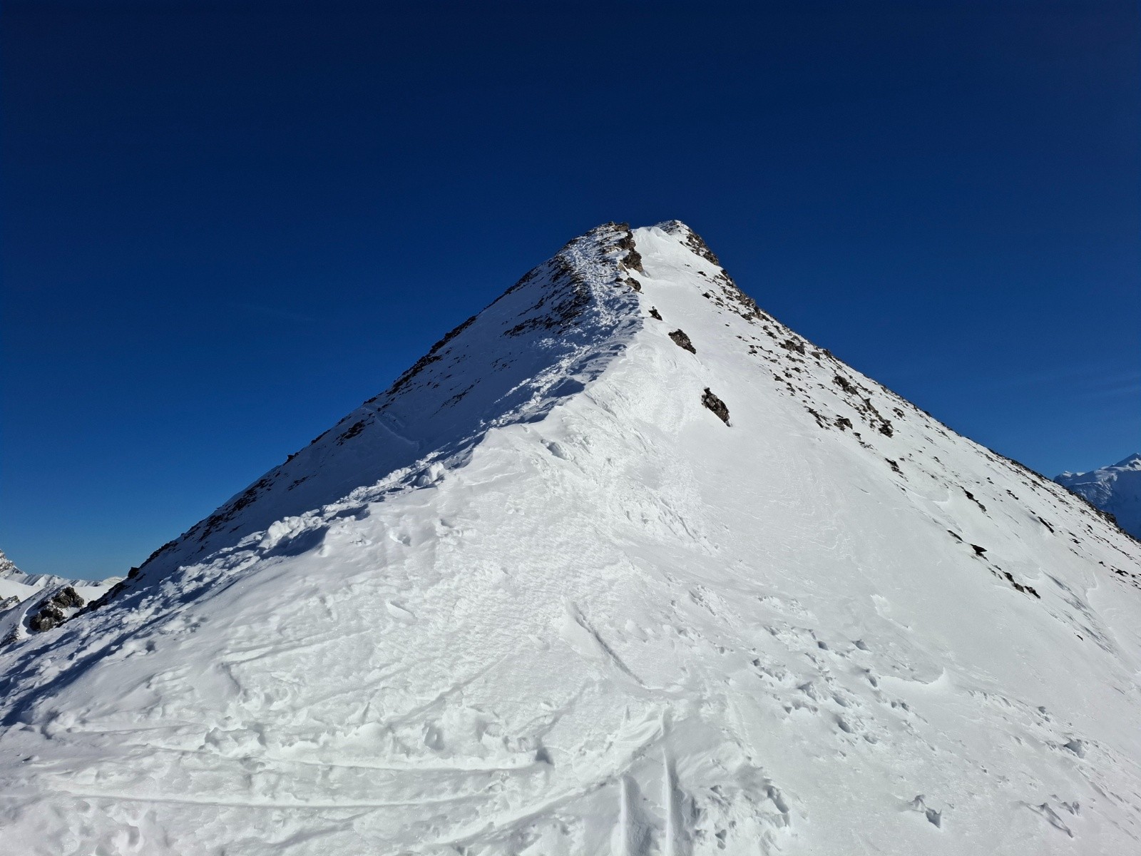 #3 Roche Perfia Roche Perfia