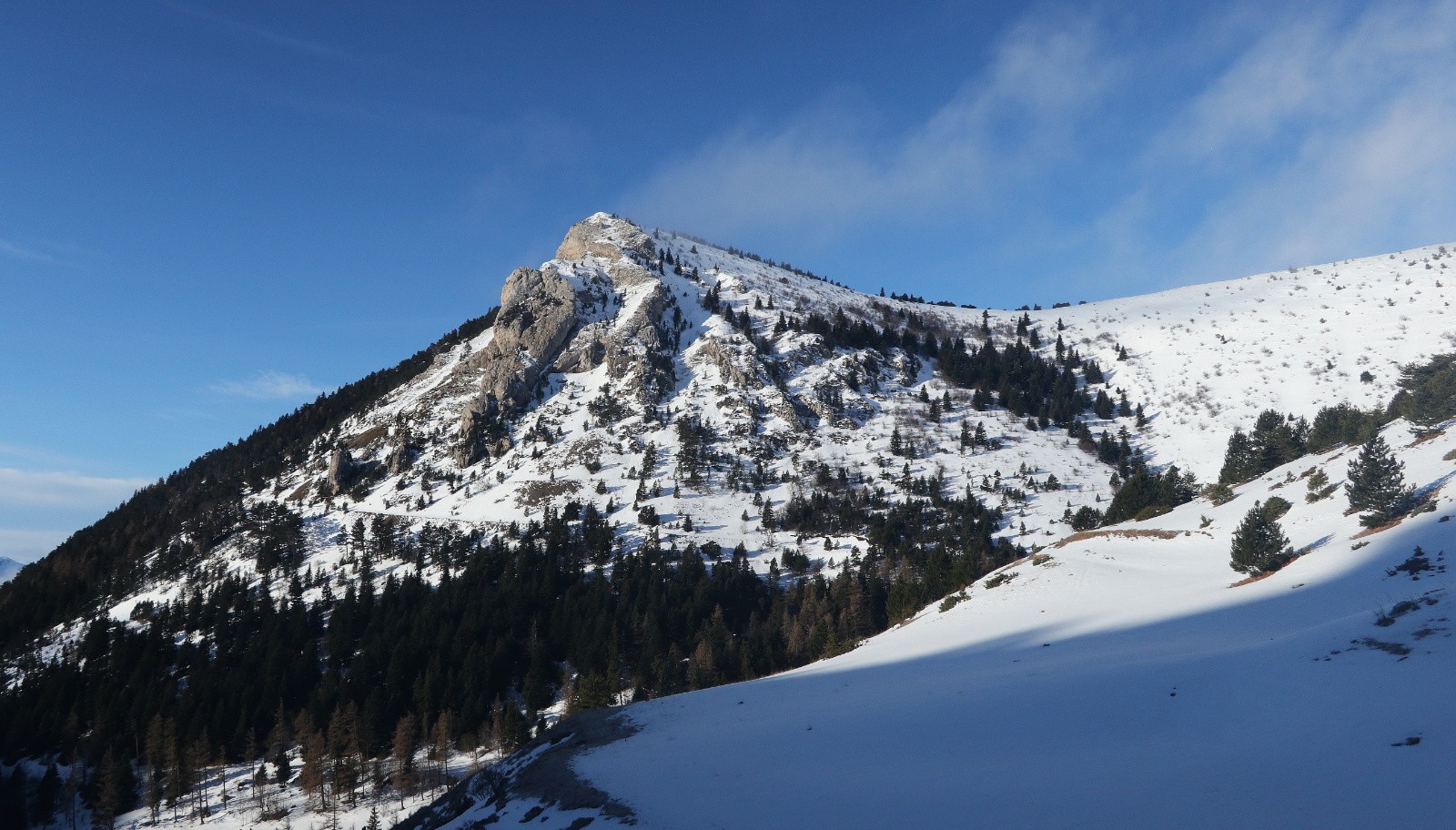 Chevalet au soleil&nbsp;