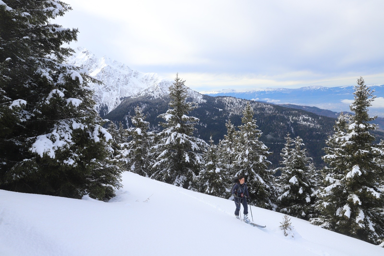 La forêt s'éclaircit enfin vers 1650 m, mais nous devons déjà descendre
