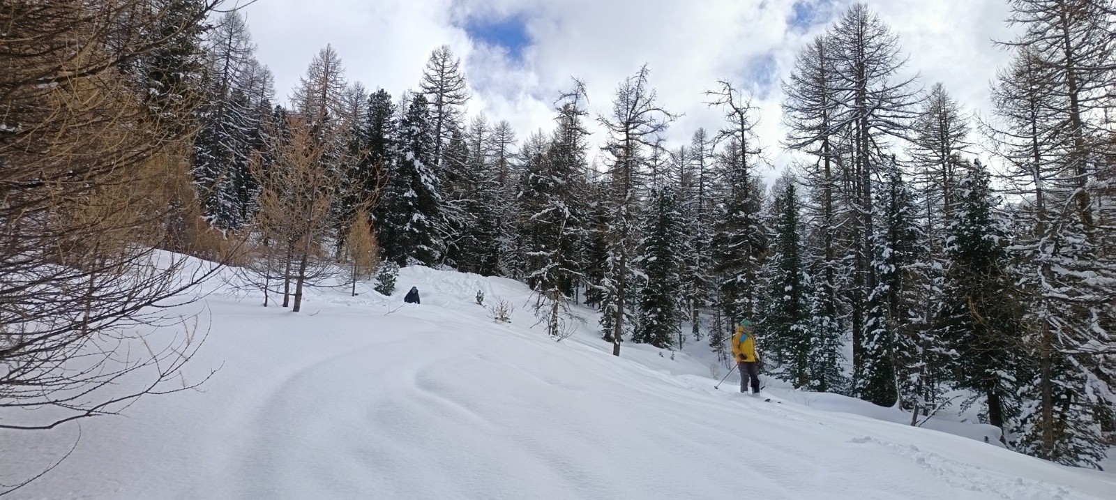 &nbsp;Mélezin aéré&nbsp;