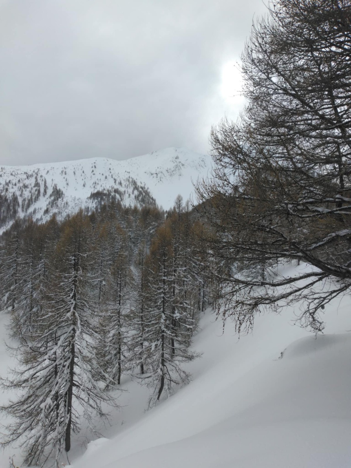 Petite Autane, du sommet