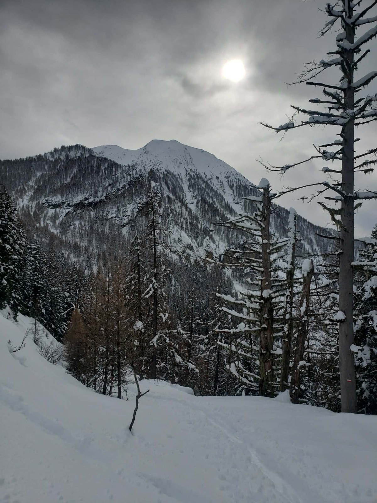 Petite Autane, du GR