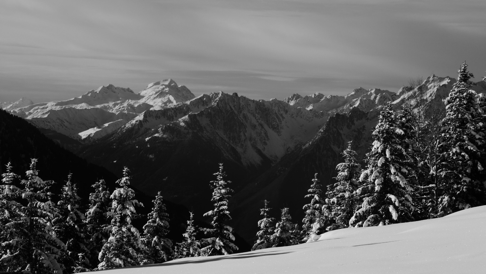 Une bande d'épicéas vs Clocher des Pères et massif de l'Etendard...