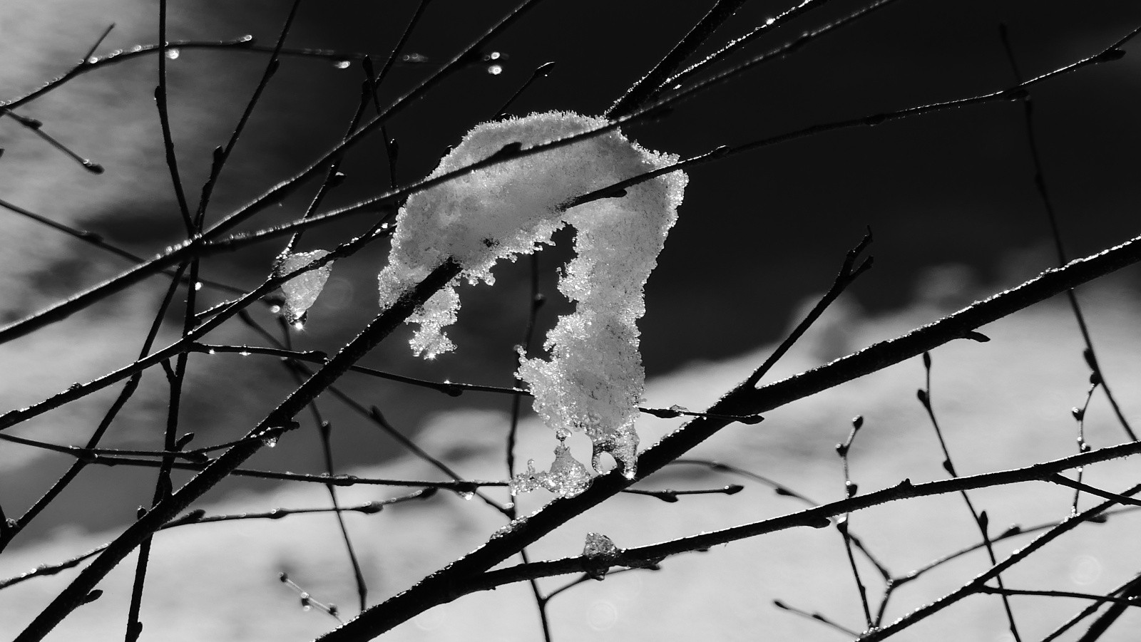 Nivôse éphémère...