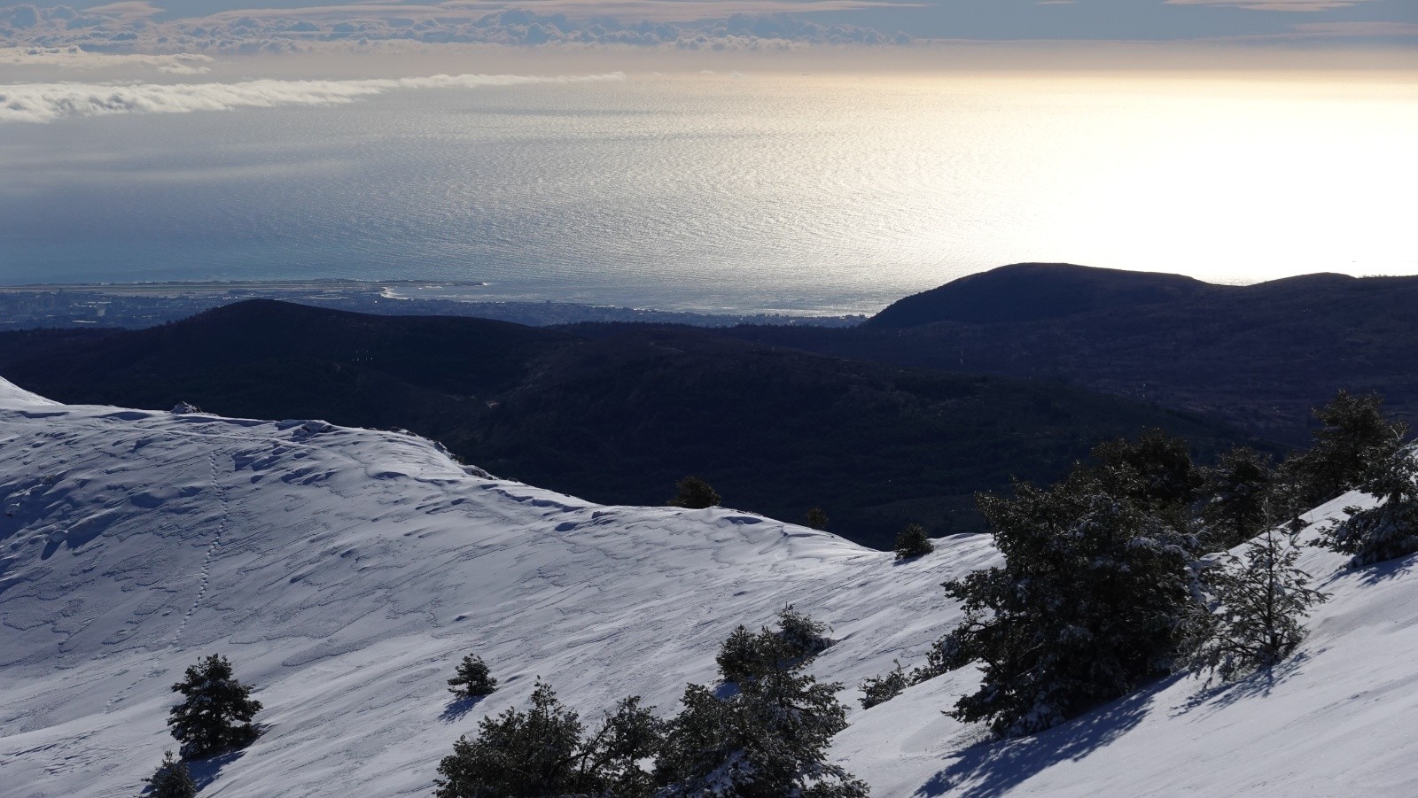 Contraste de couleurs