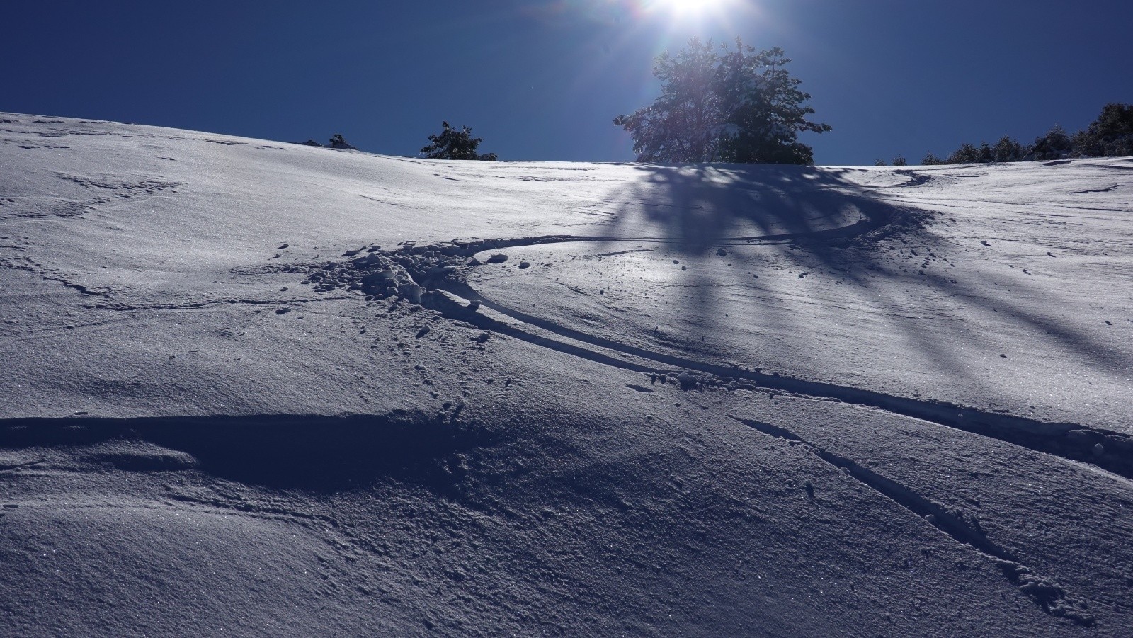 Poudreuse humide soufflée