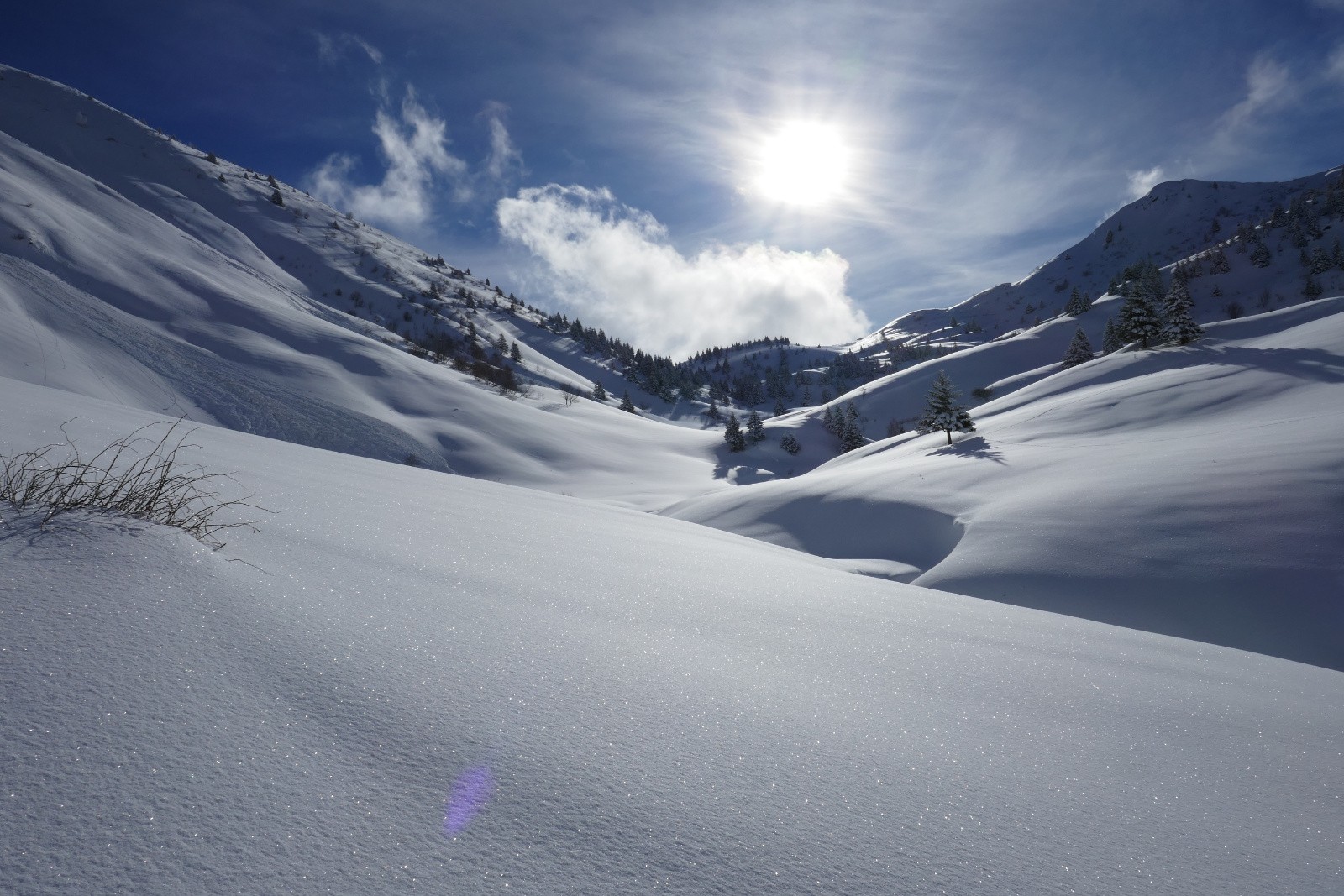 Peu de traces encore&nbsp; 