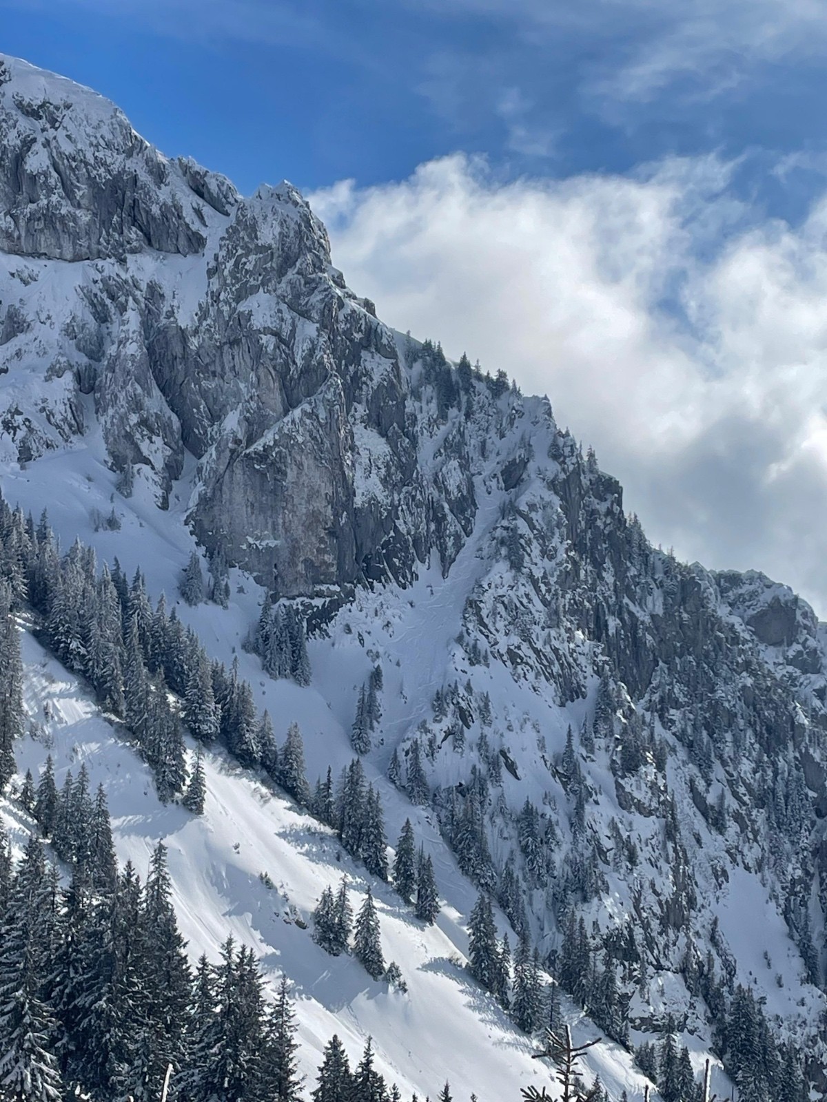 &nbsp;Anguille&nbsp;