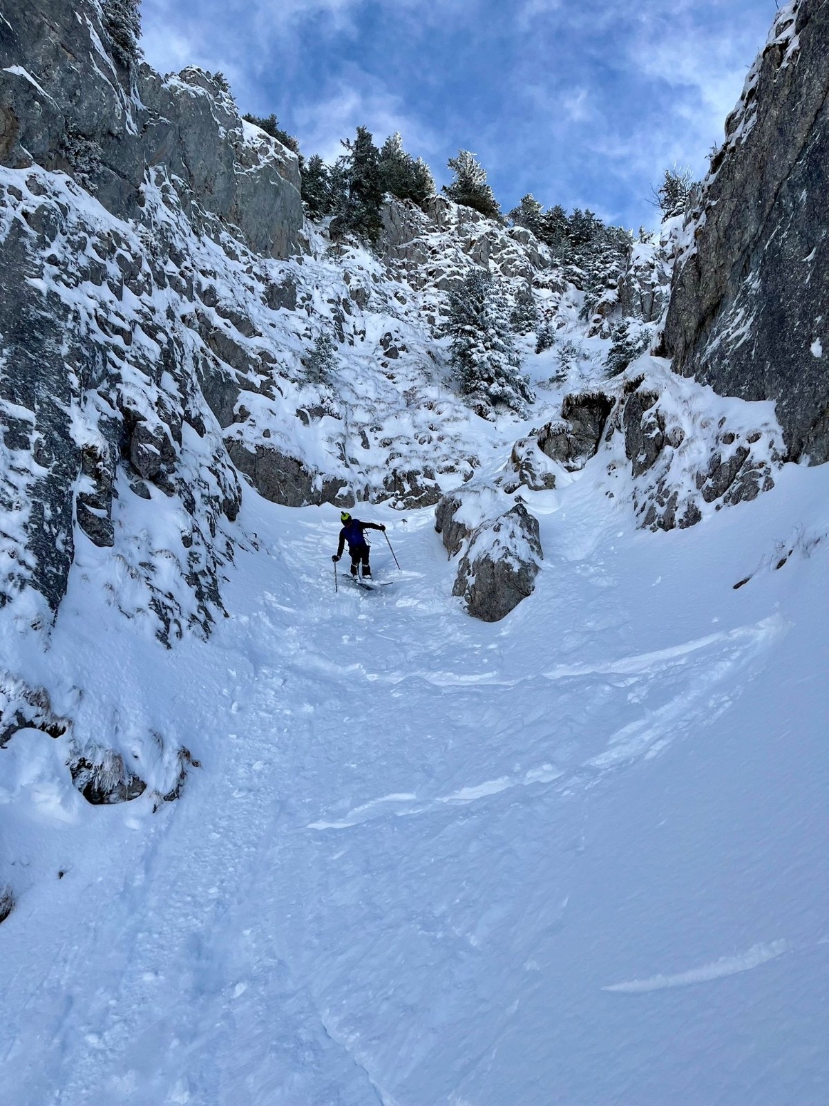 Anguille&nbsp;&nbsp;