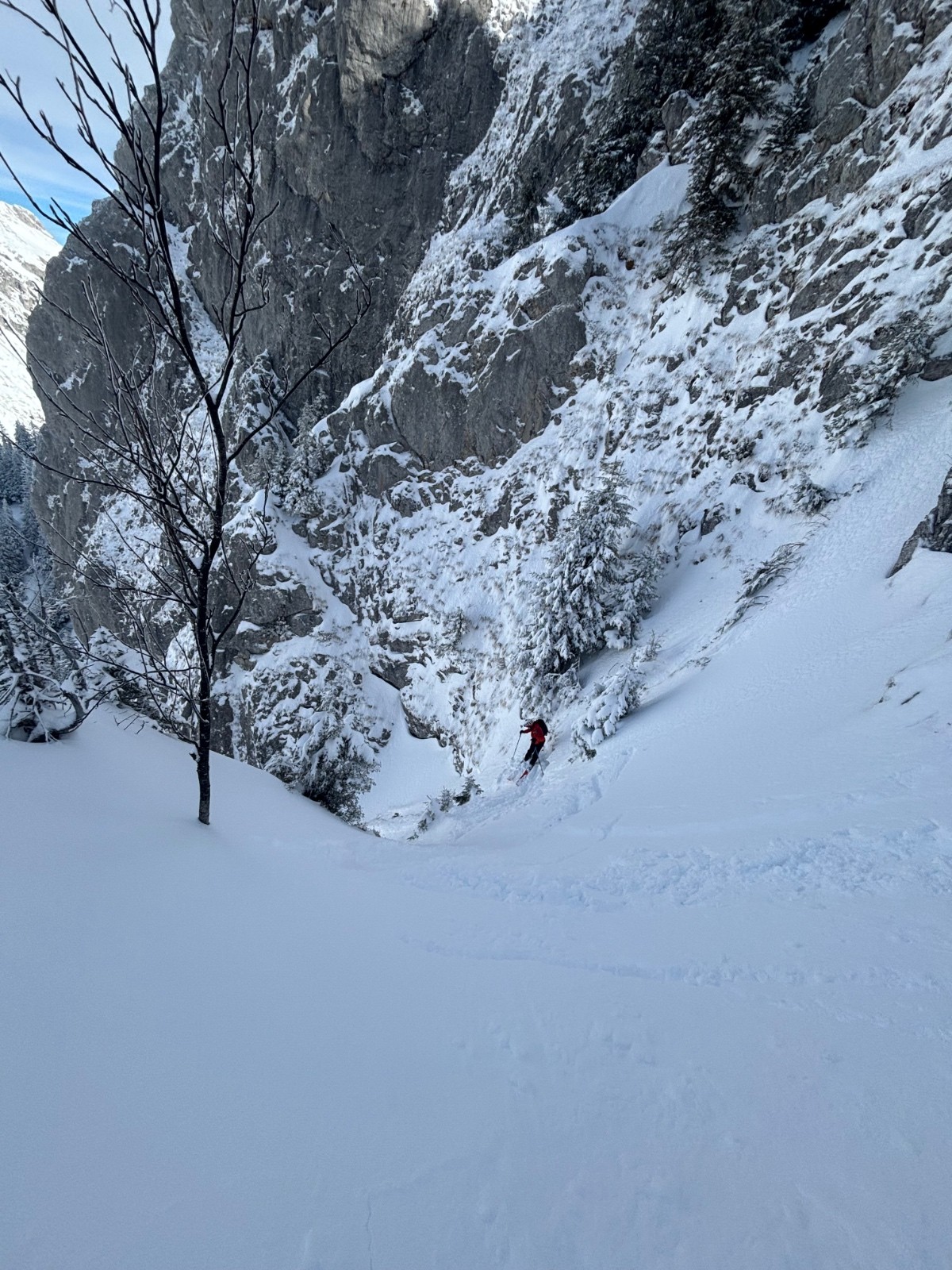 &nbsp;Anguille&nbsp;