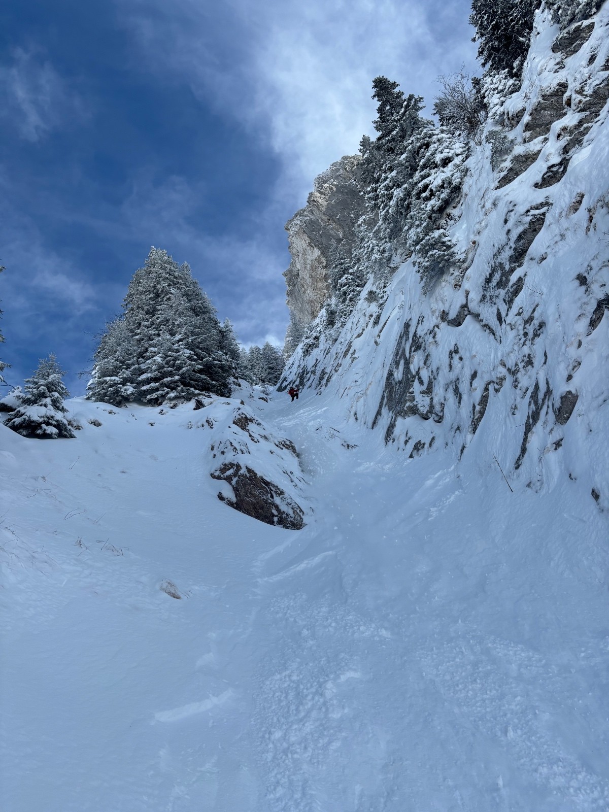 &nbsp;Anguille&nbsp;