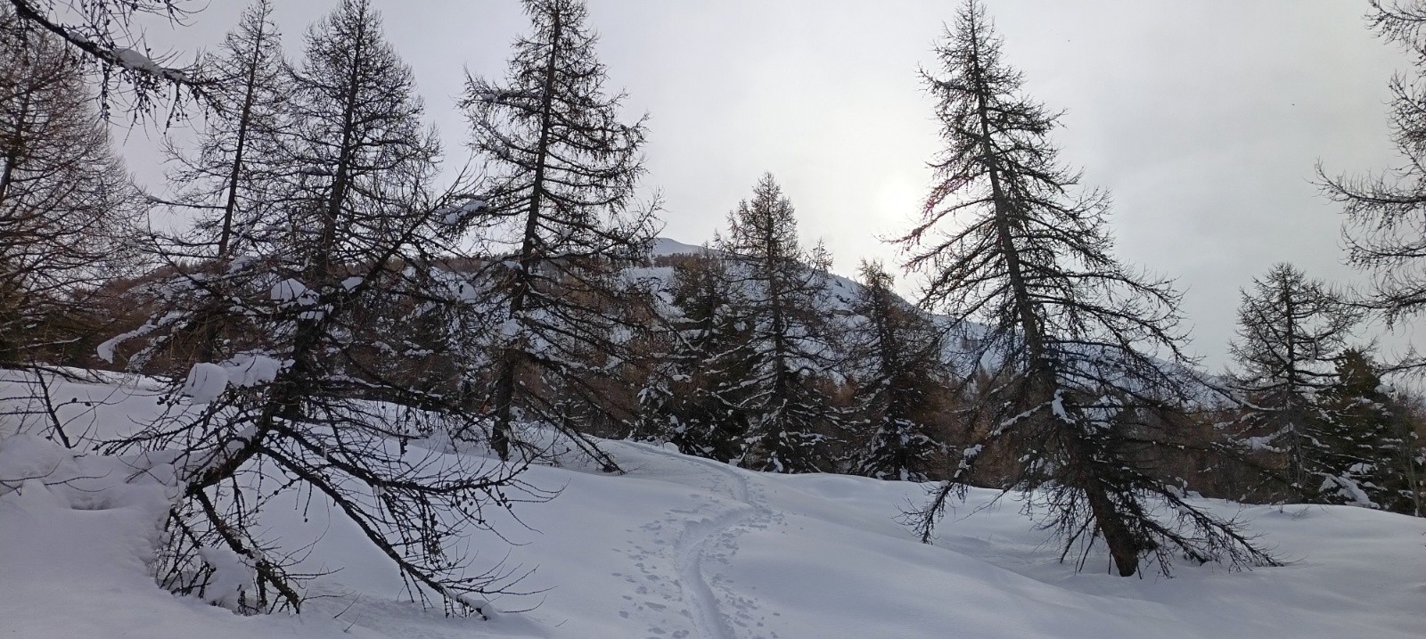 &nbsp;Croix de l'Alpe au fond&nbsp;
