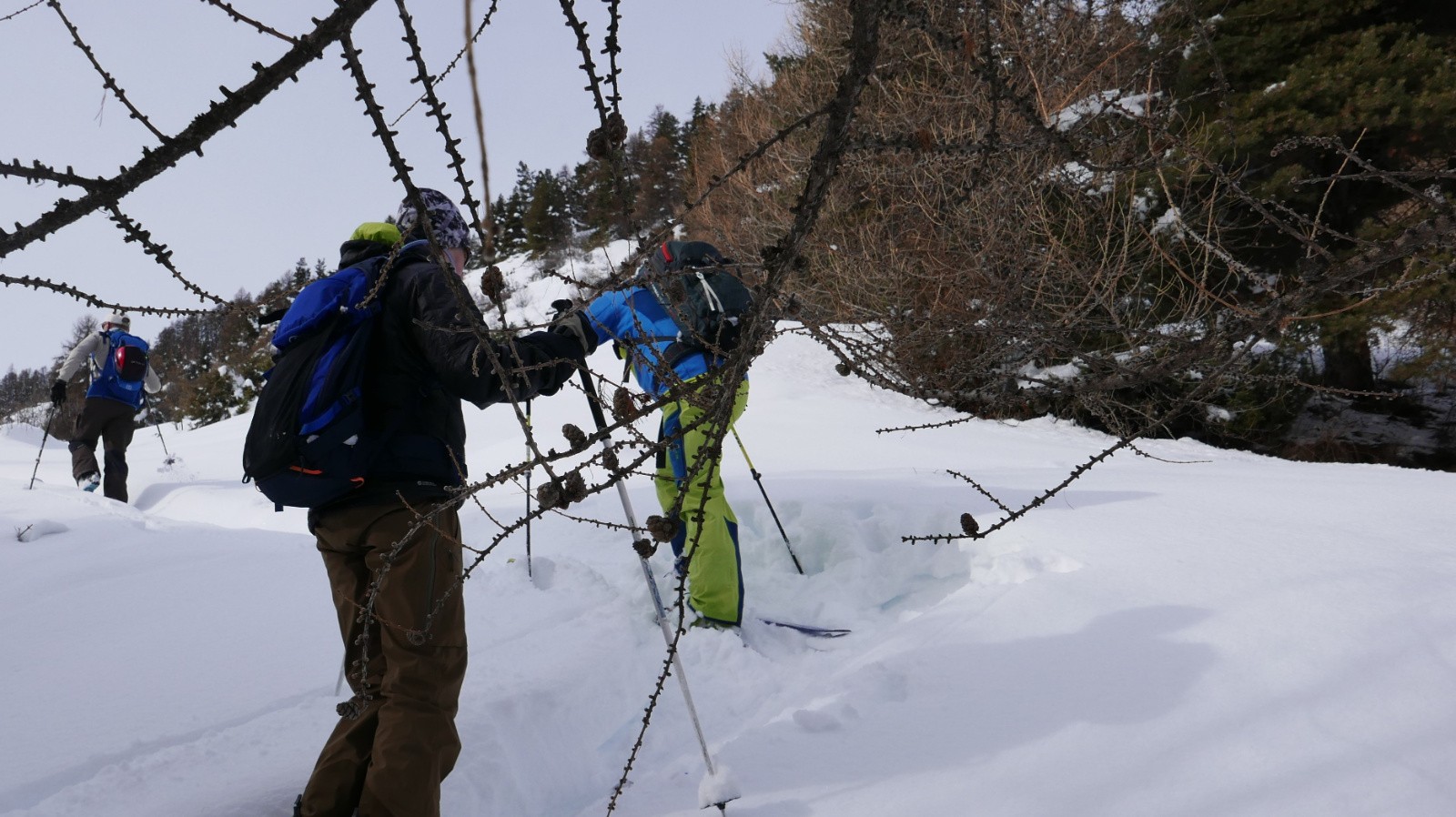 Dans le ravin de Perrus.