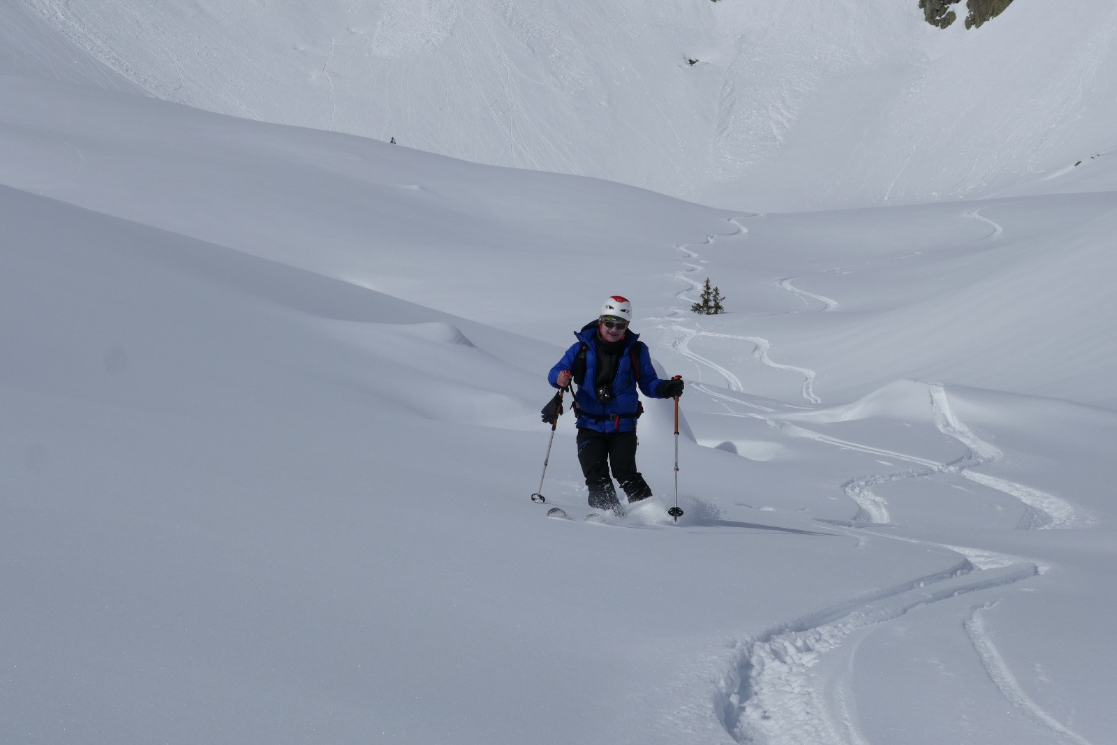 El professor !&nbsp; 