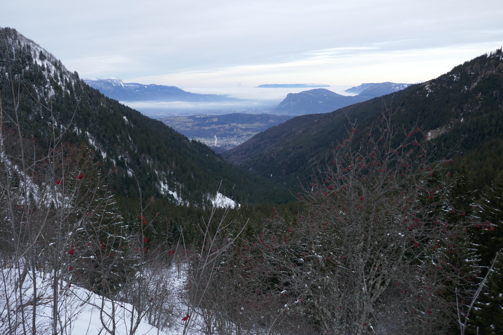 Matinée tristoune&nbsp; 