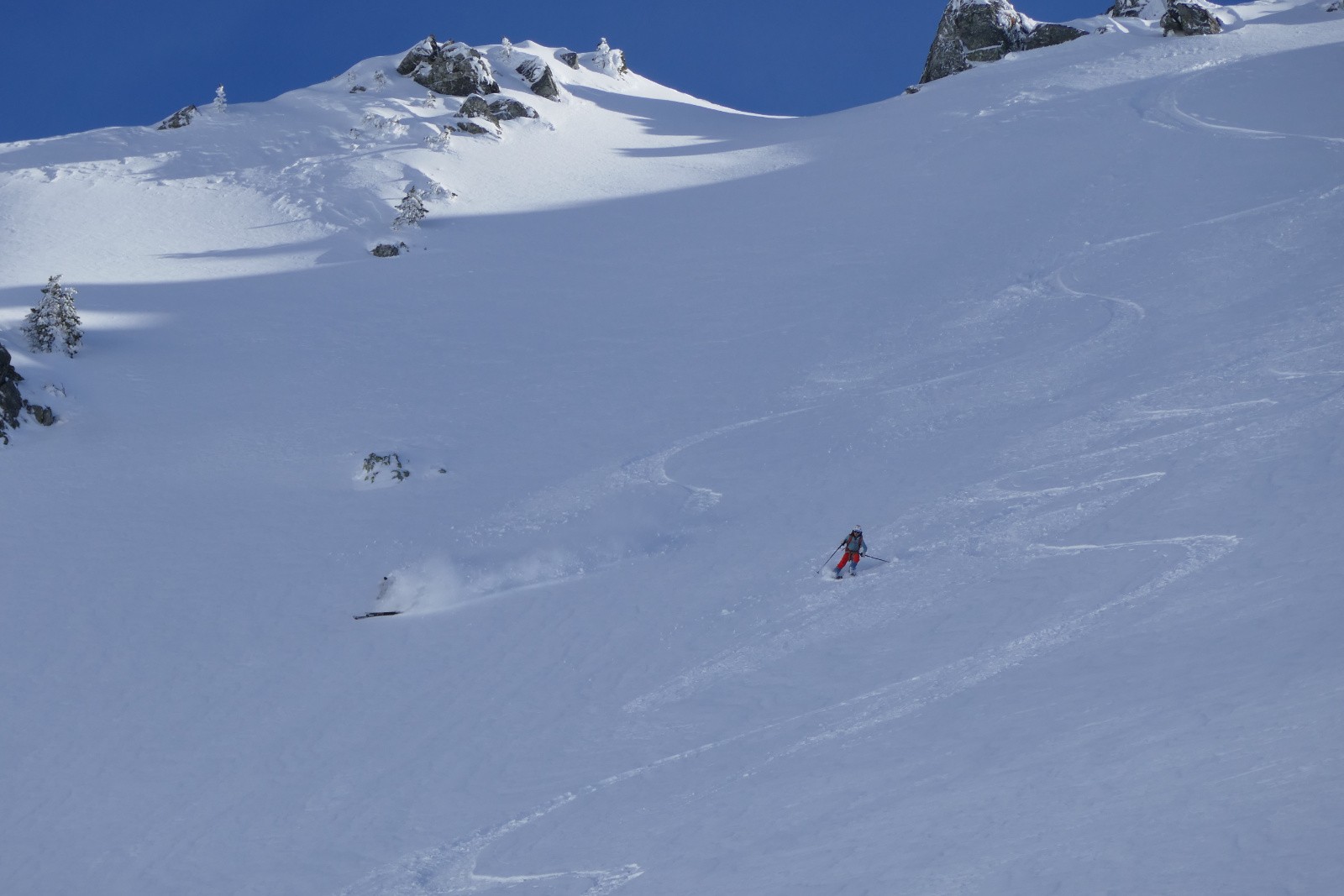 Steph' disparait !&nbsp; 