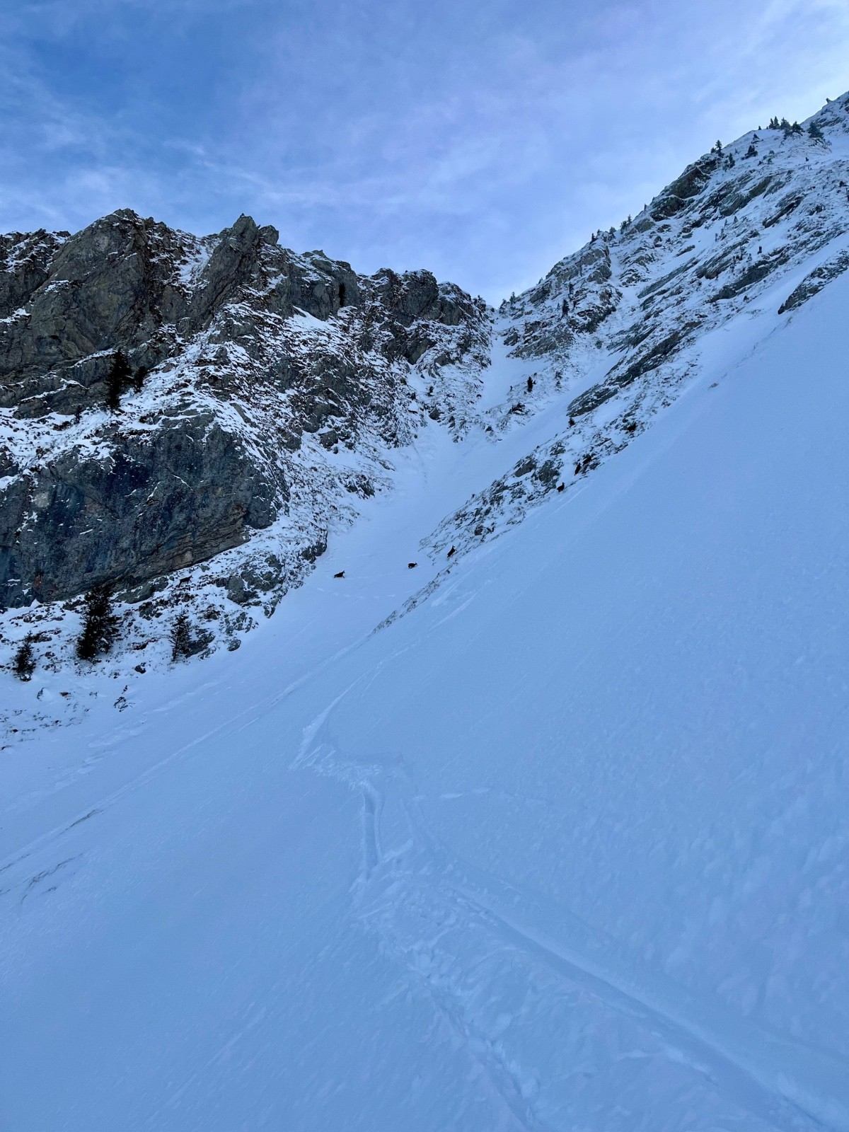 les proprio toujours sur nos cotes, désolé les amis