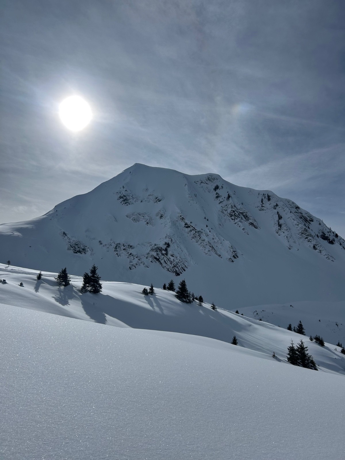 &nbsp;Tête de l’aulp