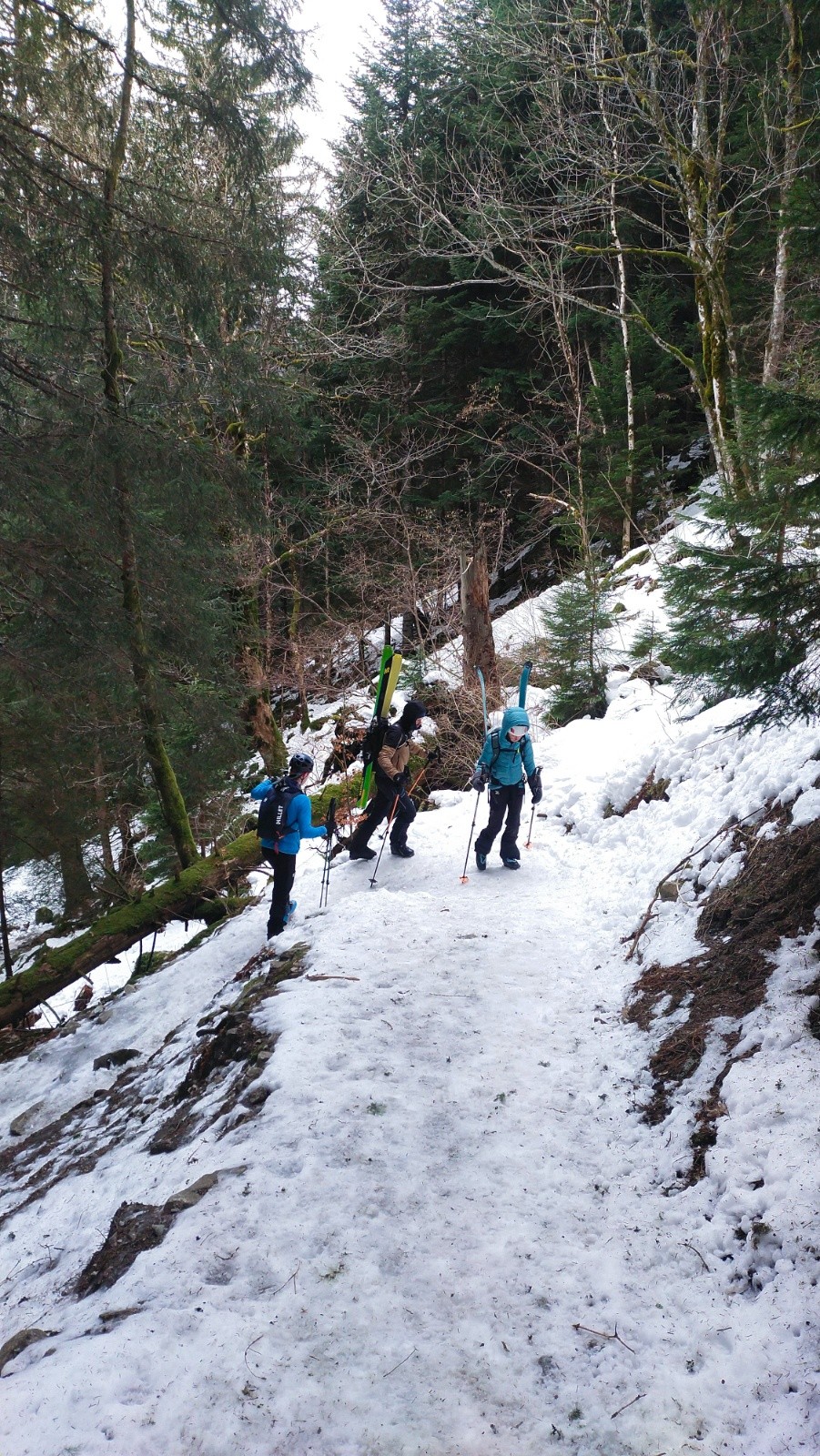 &nbsp;Départ en forêt&nbsp;